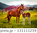 馬 131111239