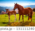 馬 131111240