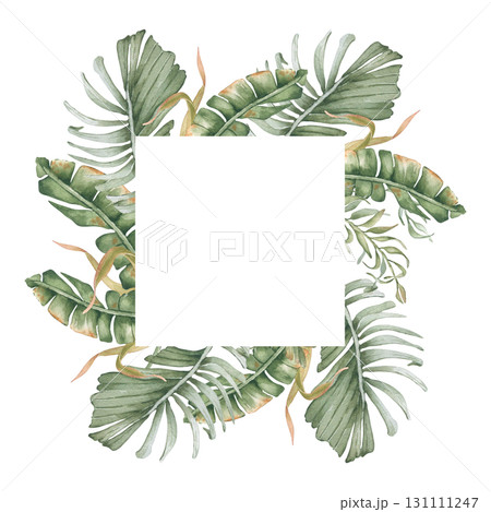 Tropical watercolor frame of palm fronds and ferns in muted sage tones isolated. Jungle greenery plants hand painted for stationery, spa resort design. Tropical foliage drawing for packaging. 131111247
