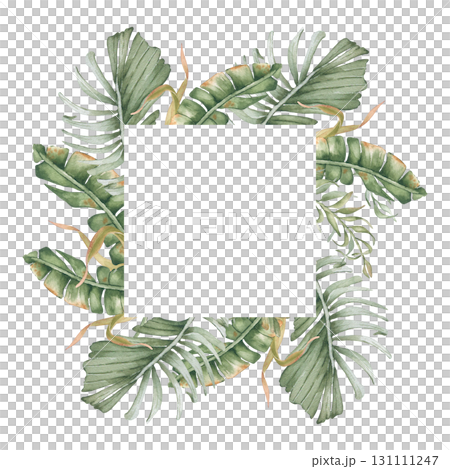 Tropical watercolor frame of palm fronds and ferns in muted sage tones isolated. Jungle greenery plants hand painted for stationery, spa resort design. Tropical foliage drawing for packaging. 131111247
