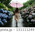 アジサイ　後ろ姿　傘 131111249