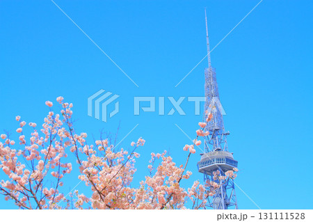 愛知県名古屋市、テレビ塔と桜の風景 愛知県名古屋市、テレビ塔と桜の風景 131111528