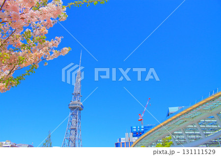 愛知県名古屋市、テレビ塔と桜の風景 131111529