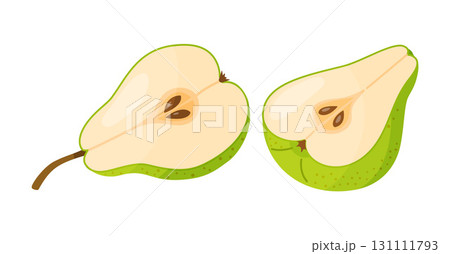 Two halves of green pear. Hand drawn food clipart, flat style 131111793