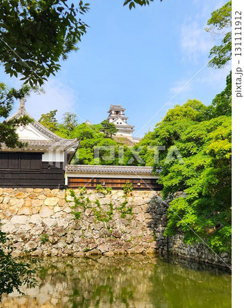 新緑の堀越しに望む高知城天守の姿 131111912