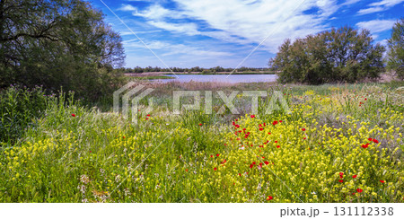 Tablas de Daimiel National Park, Spain Tablas de Daimiel National Park, Spain 131112338