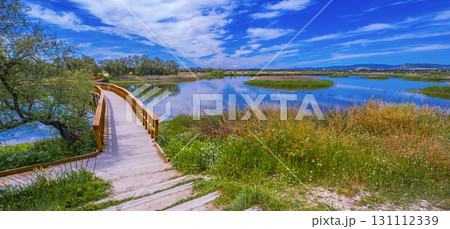 Tablas de Daimiel National Park, Spain 131112339