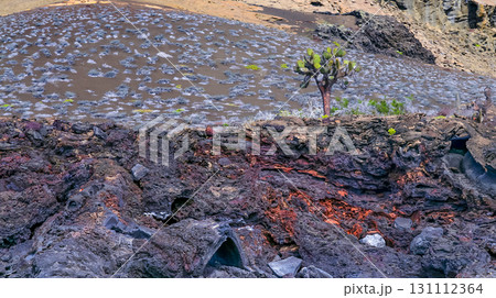 Volcanic Landscape, Galapagos National Park 131112364