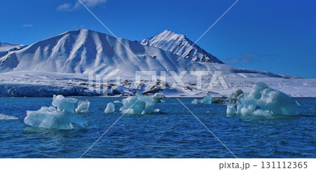 Drift floating Ice,14 of July Glacier, Arctic 131112365