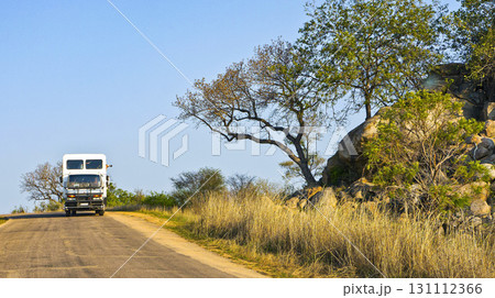 Kruger National Park, South Africa 131112366