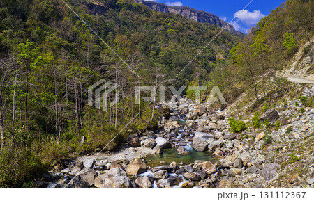 Forest River, Himalaya, Nepal 131112367