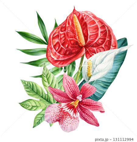 Red anthurium with white spathiphyllum and pink orchid flowers with tropical green leaves watercolor botanical illustration Red anthurium with white spathiphyllum and pink orchid flowers with tropical green leaves watercolor botanical illustration 131112994