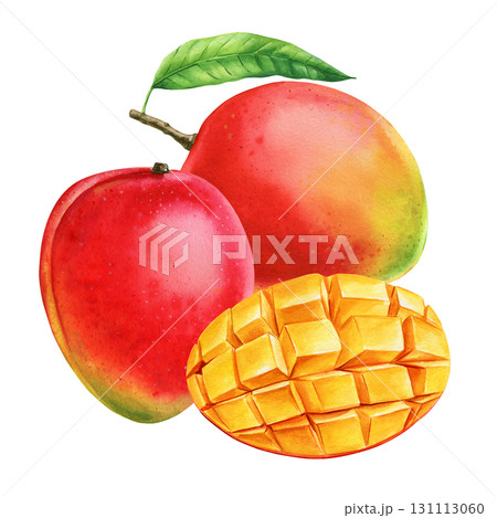 Mango fruits with leaf and sliced cubes watercolor illustration tropical exotic summer fruit healthy food design 131113060