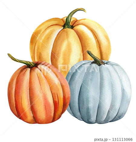 Orange yellow and blue pumpkins watercolor illustration autumn harvest seasonal vegetable thanksgiving decor design 131113066