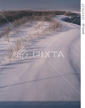 厳冬の北海道岩見沢市　雪に覆われた石狩川の川辺に生える樹々と影 131113117