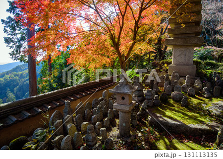 善峯寺 奥の院の紅葉 善峯寺 奥の院の紅葉 131113135