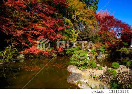 善峯寺　奥の院の庭園の紅葉 131113138