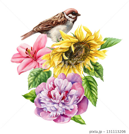 Sparrow bird with sunflower pink lily and peony watercolor floral illustration with garden leaves Sparrow bird with sunflower pink lily and peony watercolor floral illustration with garden leaves 131113206