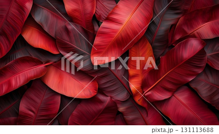 Closeup red orange leaves texture darkness dramatic effect foliage botanical 131113688