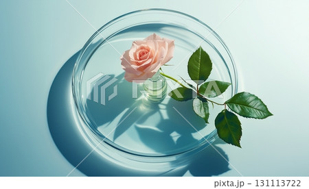 Fresh rose flower water extracts natural organic plant best skin care ingredient 131113722