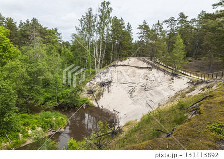 White Dune in Saulkrasti, Latvia with Pine Forest and Meandering River White Dune in Saulkrasti, Latvia with Pine Forest and Meandering River 131113892