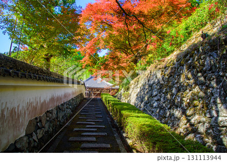 秋の善峯寺 131113944
