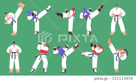 Dynamic Hand-Drawn Art of Taekwondo Kicks Illustration Set 131113979
