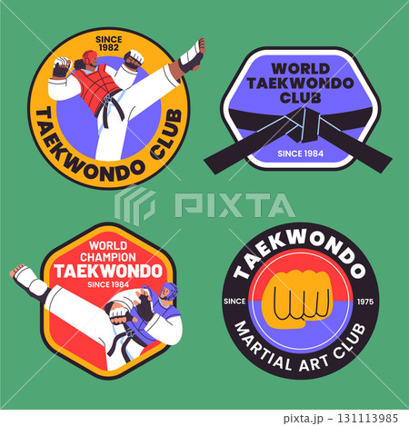 Flat Hand Drawn Taekwondo Club Emblem Collection 131113985