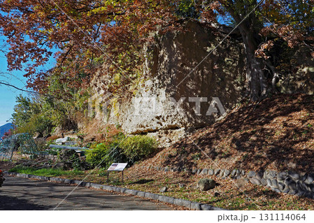 上田城の天然の崖【長野県上田市】 上田城の天然の崖【長野県上田市】 131114064