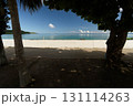 木陰から見える静かな夏の青い海 131114263