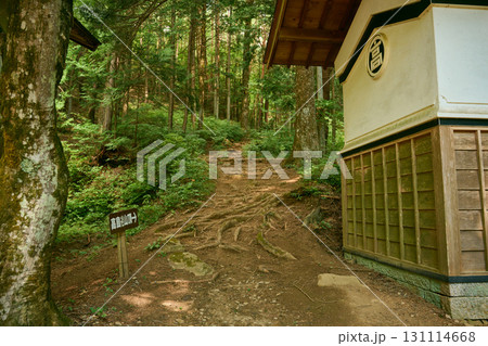 高鳥谷山の登山道 131114668