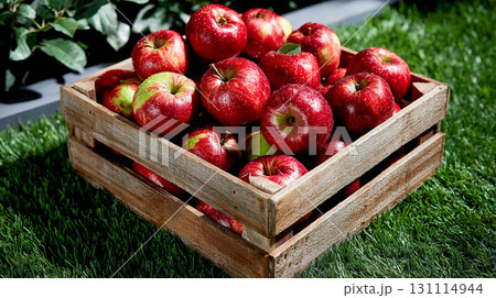 A wooden box filled with red apples. The apples look fresh and covered with water droplets. The box is placed on green grass in a rural or garden setting. Harvesting.	 131114944