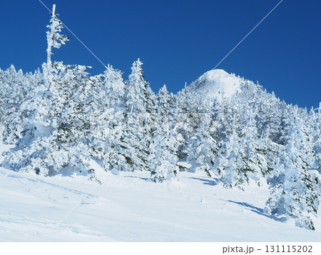 四阿山の樹氷の森 四阿山の樹氷の森 131115202