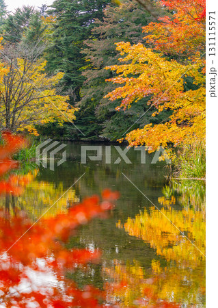 【長野県】雲場池の紅葉　湖面に映り込む秋 131115571