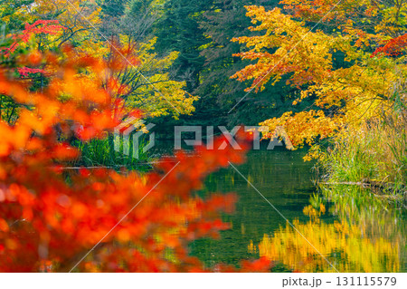 【長野県】雲場池の紅葉　湖面に映り込む秋 131115579