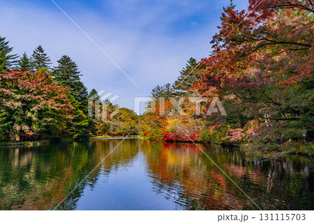 【長野県】雲場池の紅葉　湖面に映り込む秋 131115703