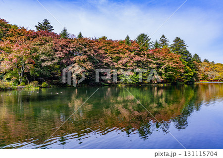 【長野県】雲場池の紅葉 湖面に映り込む秋 【長野県】雲場池の紅葉 湖面に映り込む秋 131115704