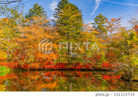 【長野県】雲場池の紅葉　湖面に映り込む秋 131115714