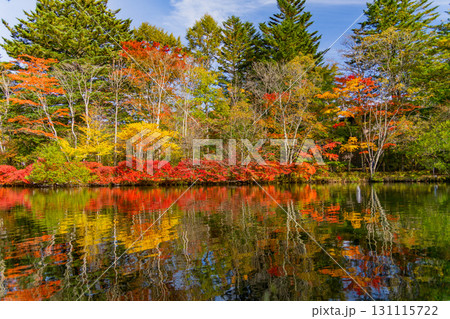 【長野県】雲場池の紅葉　湖面に映り込む秋 131115722