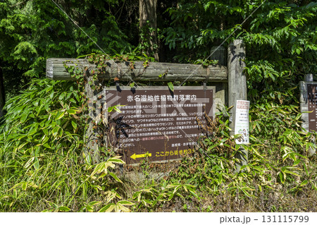 赤名湿地 案内板 島根県飯南町 赤名湿地 案内板 島根県飯南町 131115799