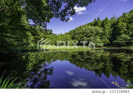 赤名湿地　長尾池　島根県飯南町 131116065