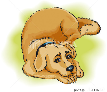 Dog Dog 131116106