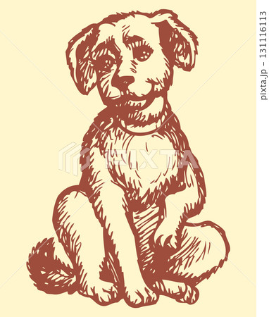 Vector picture. Fluffy puppy sitting on the floor Vector picture. Fluffy puppy sitting on the floor 131116113