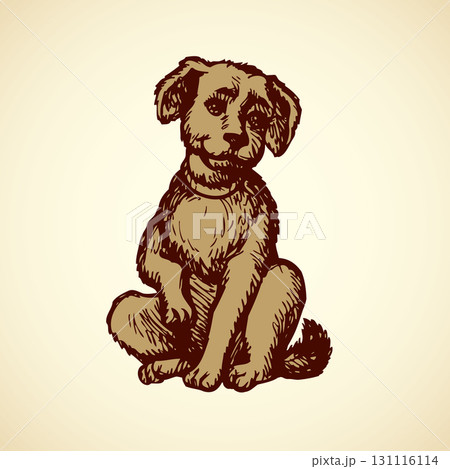 Vector engraving. Little puppy 131116114