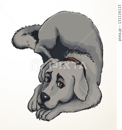 Vector drawing. Dog lying on the carpet 131116115