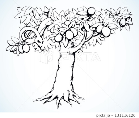Serpent on the tree. Knowledge of good and evil. Vector drawing 131116120