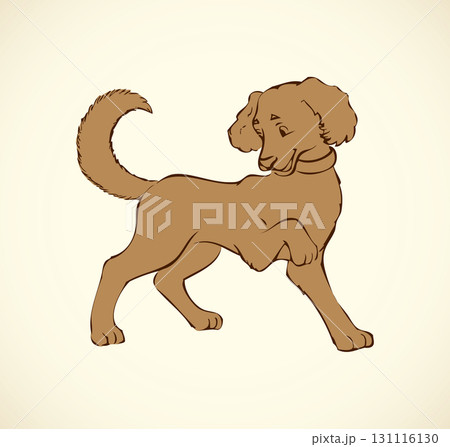 Vector outline drawing. Purebred dogs and mongrels 131116130