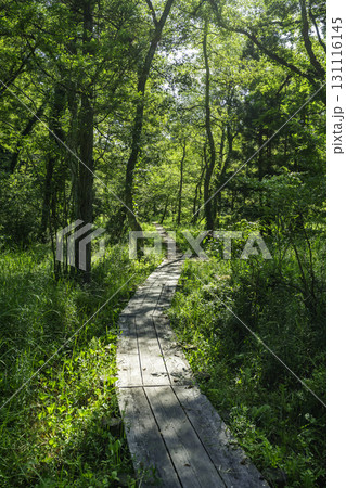 赤名湿地　木道　島根県飯南町 131116145