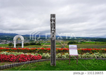 かみふらの日の出ラベンダー園(日の出公園・上富良野町) かみふらの日の出ラベンダー園(日の出公園・上富良野町) 131116655