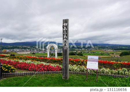 かみふらの日の出ラベンダー園(日の出公園・上富良野町) かみふらの日の出ラベンダー園(日の出公園・上富良野町) 131116656